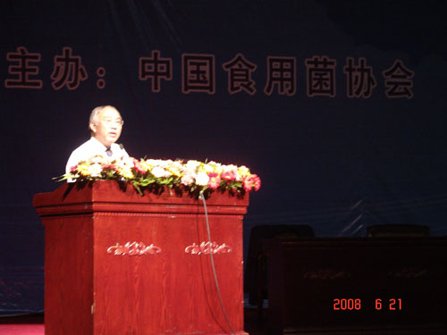 和记怡情
